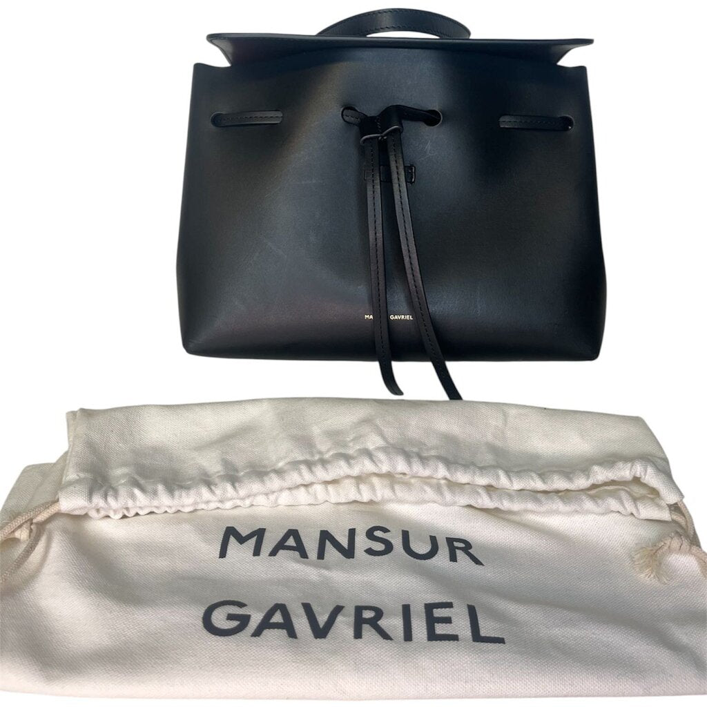 Mansur Gavriel 'Lady' Bag