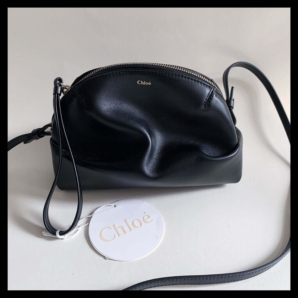 Chloe Mini Leather Purse Crossbody