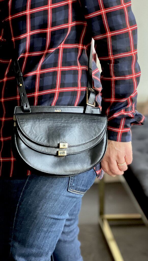 Chloe Georgia Crossbody Bag Leather Mini