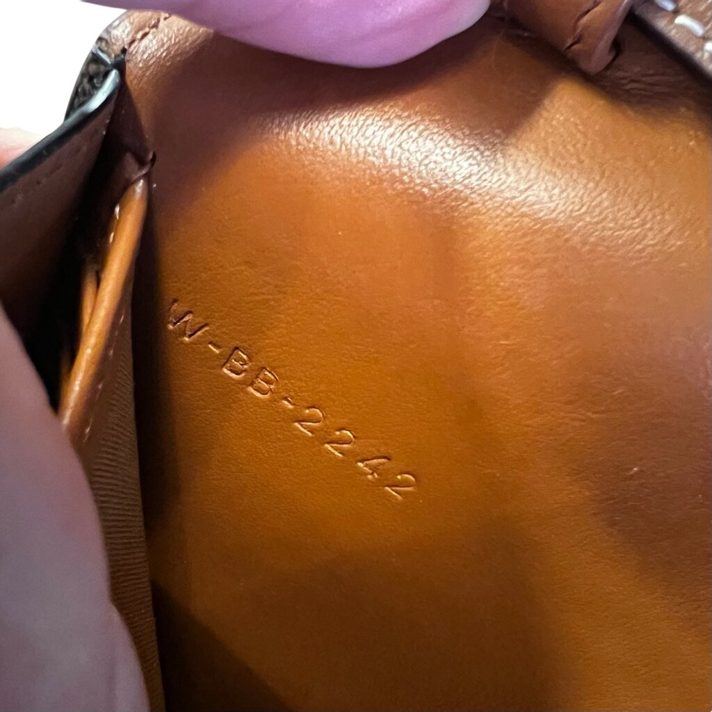 Celine Layered Wallet Crossbody Bag