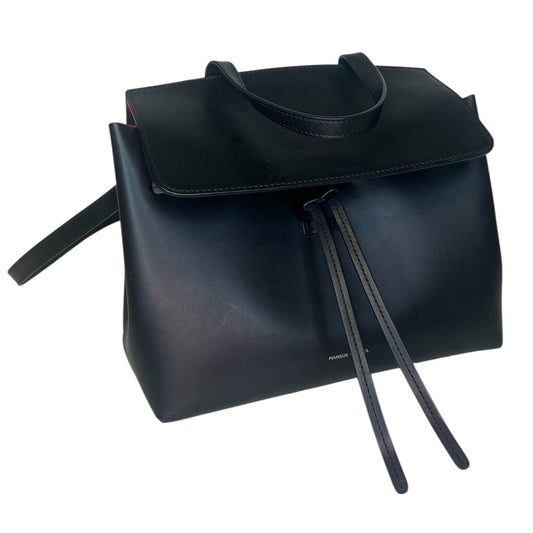 Mansur Gavriel 'Lady' Bag