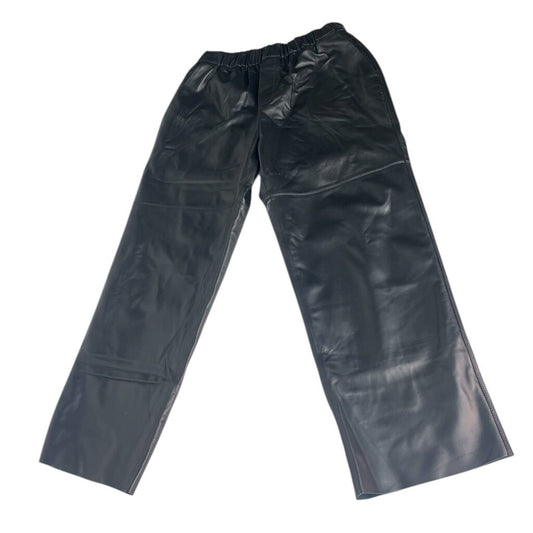 Murry & Aier Pull On Leather Pants, NEW