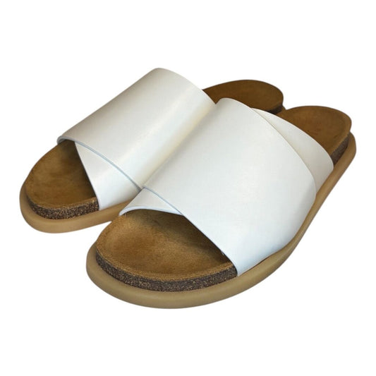Dear Frances Slides