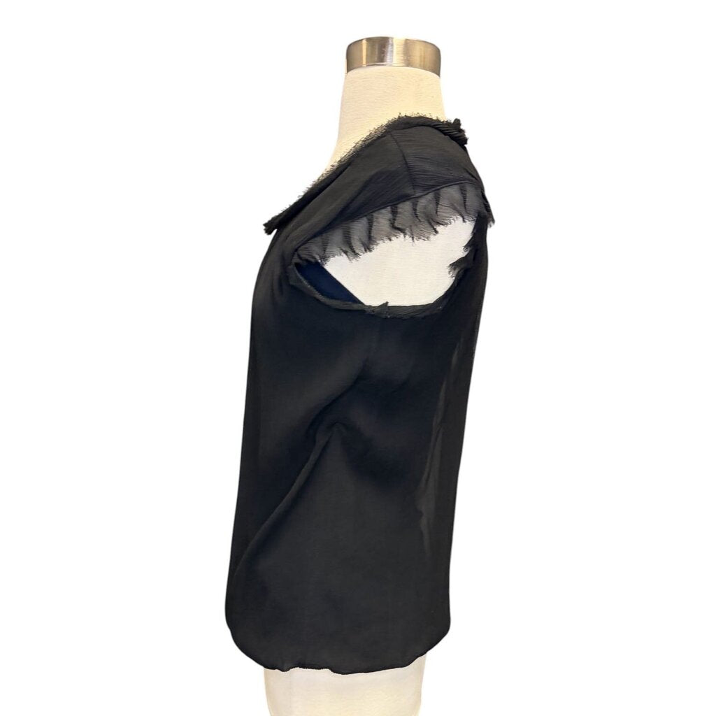 Lanvin Silk Plisse Dolman Top
